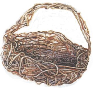 Weave a Basket out of Vines Image